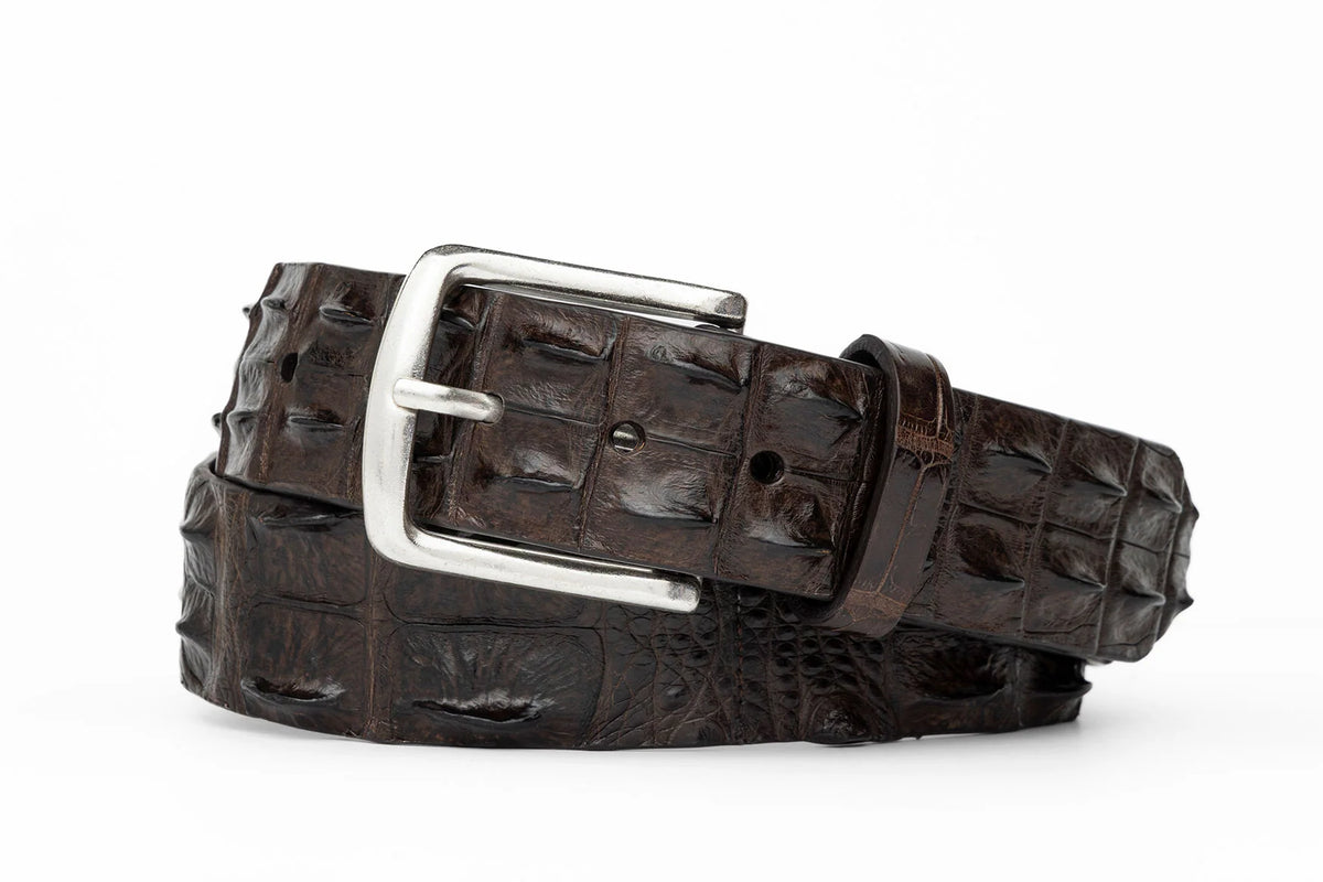 W. Kleinberg - Hornback Crocodile Belt - Chocolate