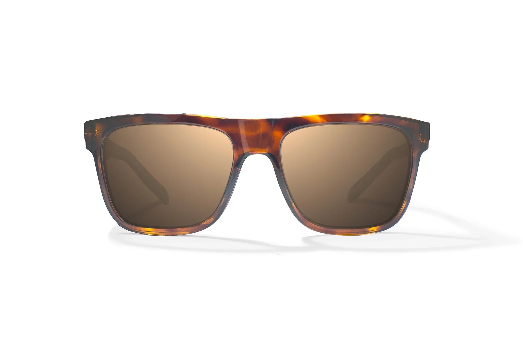 Bajio - Hopedale - Dark Brown Tort Gloss & Copper Glass Lens
