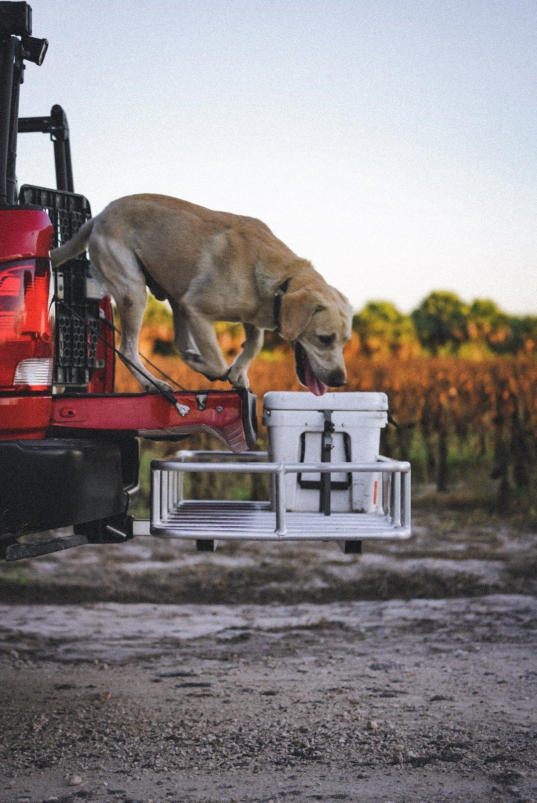 PAKMULE - Original Cargo Carrier
