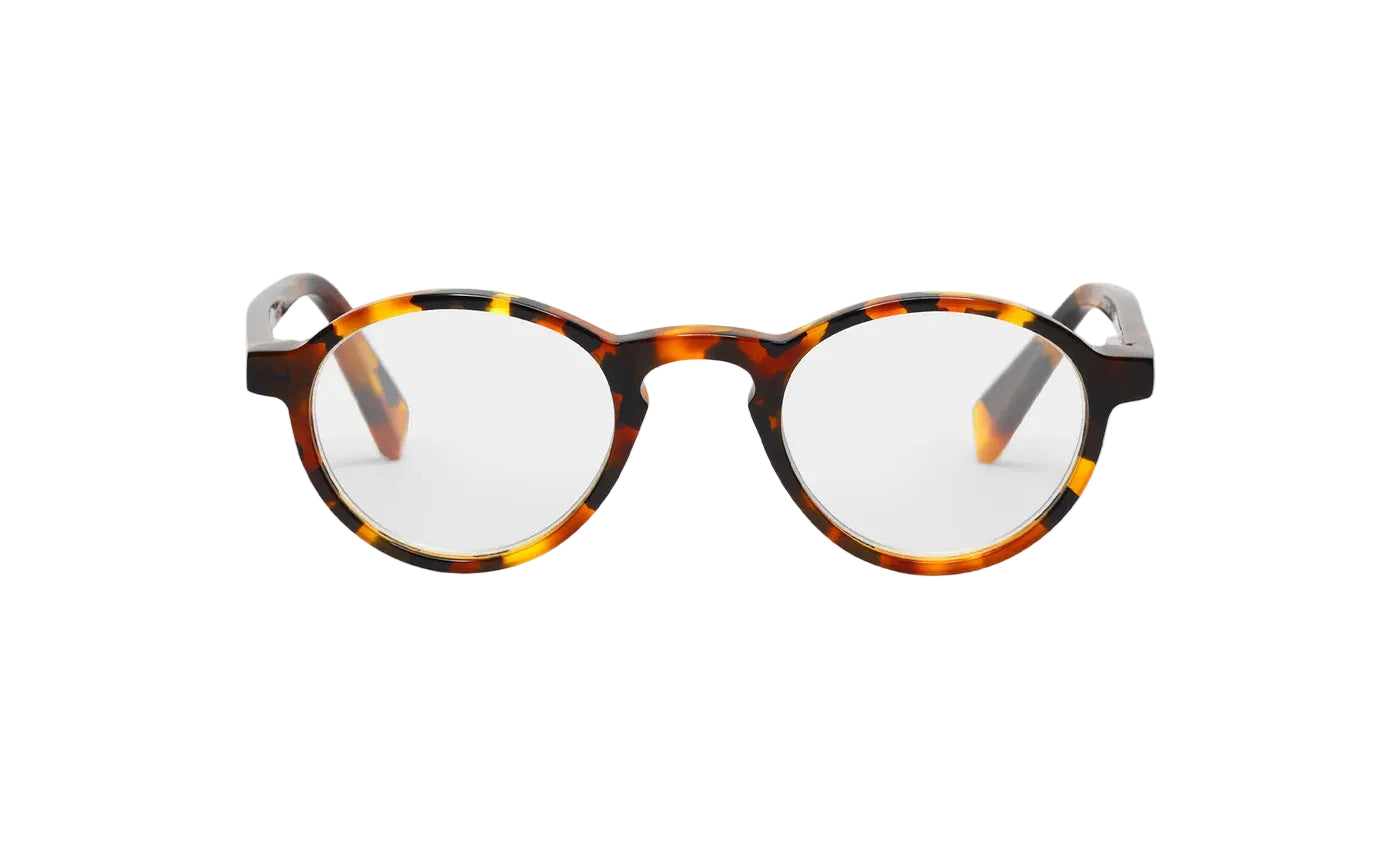 EyeBobs - Board Stiff - Tortoise