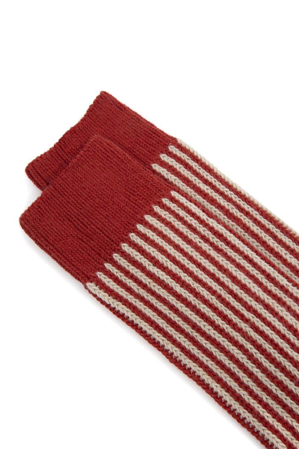 ANT45 - Capri Cotton Socks - Red(R41)