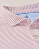 Close-up of a pink and white striped shirt with a brand logo on a light background