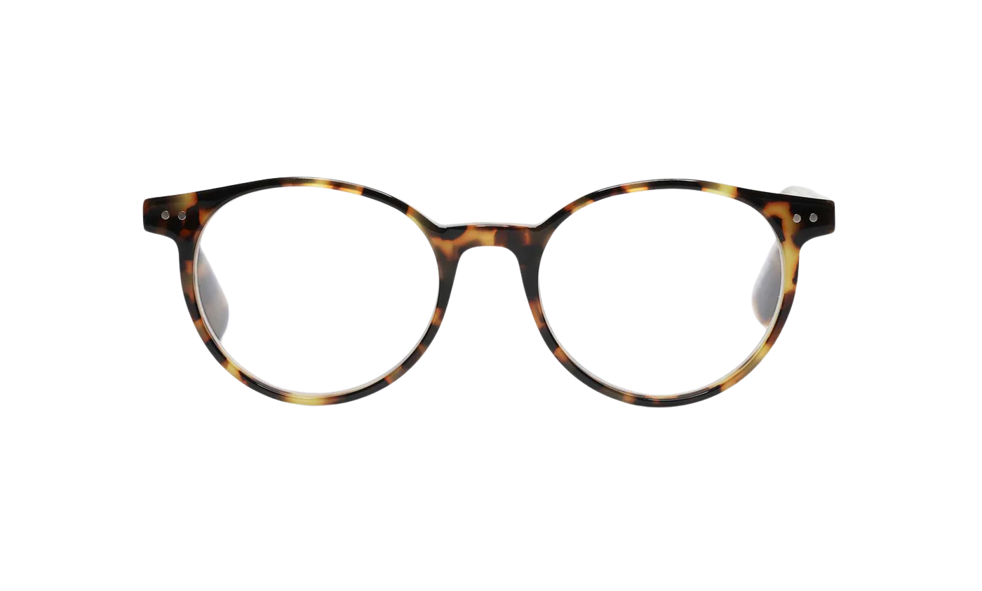 EyeBobs - Case Closed - Tortoise