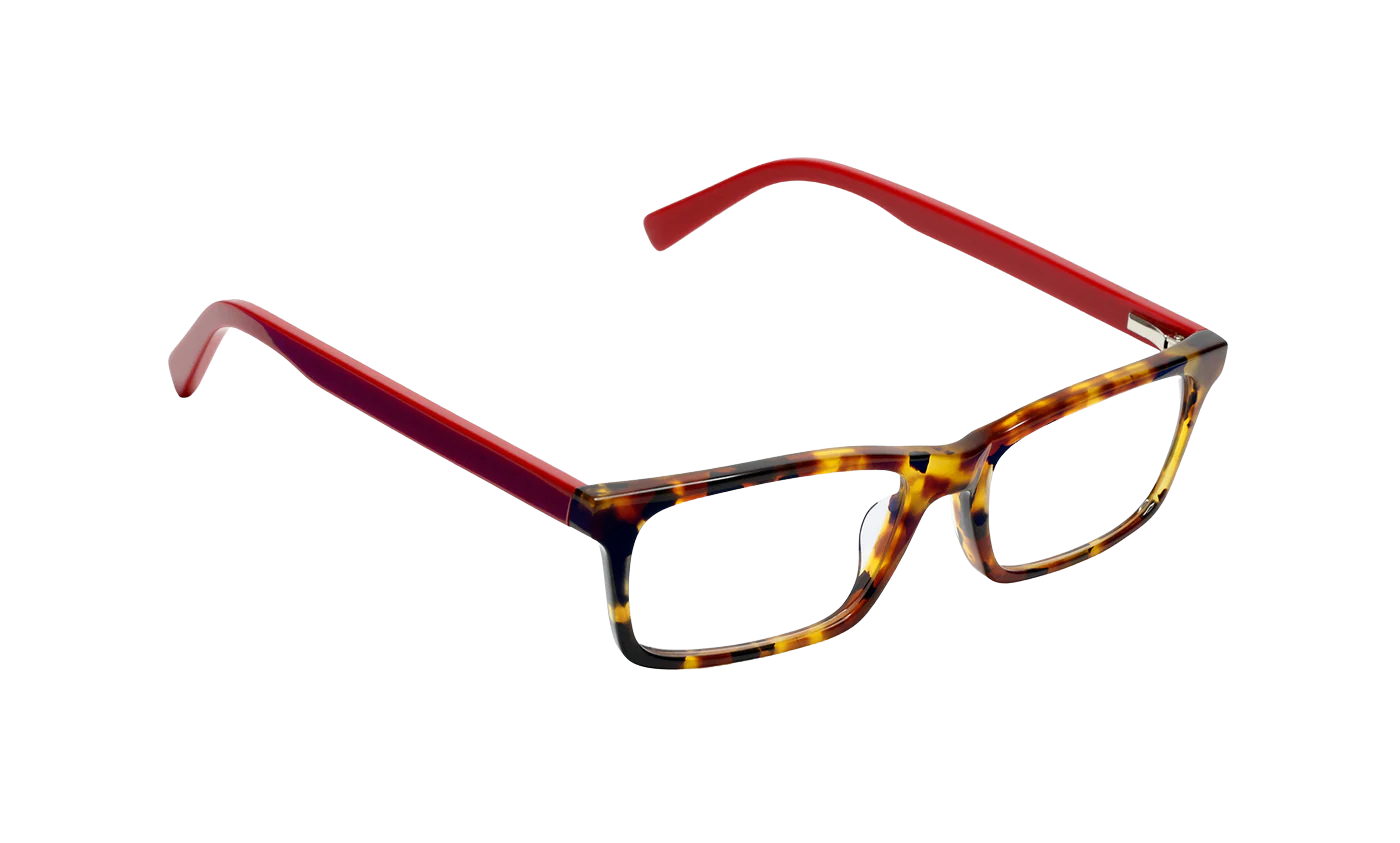 EyeBobs - Number Cruncher - Tortoise with Red Temples