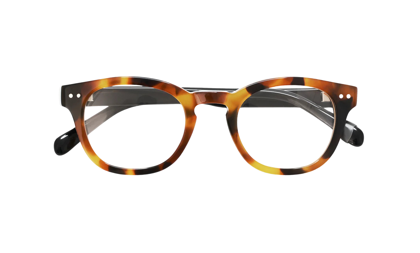 Eyebobs - Waylaid - Orange Tortoise with Black Temples